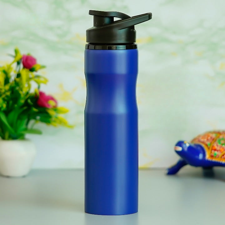 SINGLE WALL DESIGNER SS BOTTLES 27